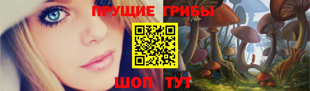 наркотики  Вход с VPN  Ликино-Дулёво  Псилоцибиновые грибы Psilocybine cubensis 